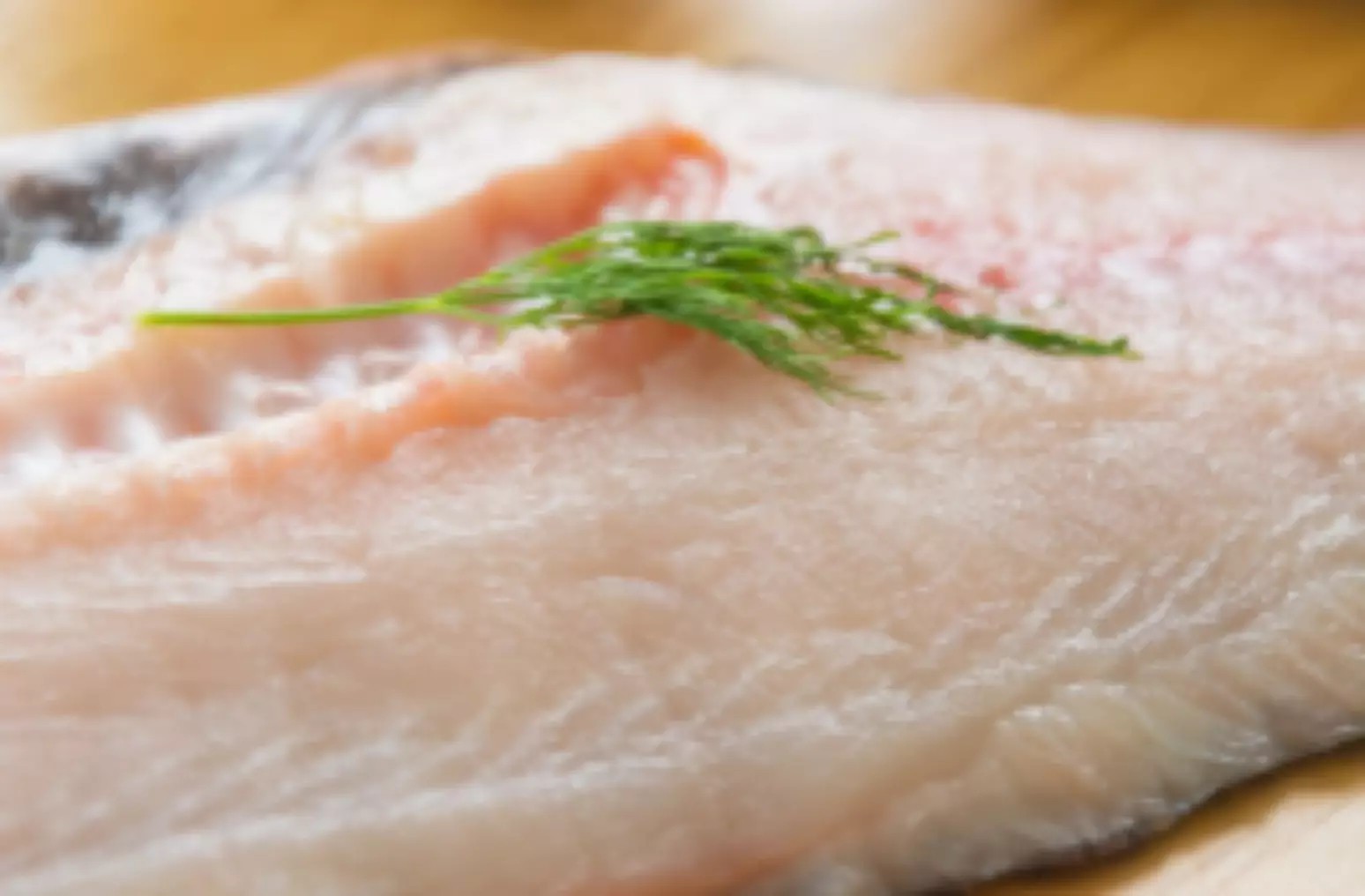 Por que você deve incluir o robalo em suas refeições; conheça os benefícios  