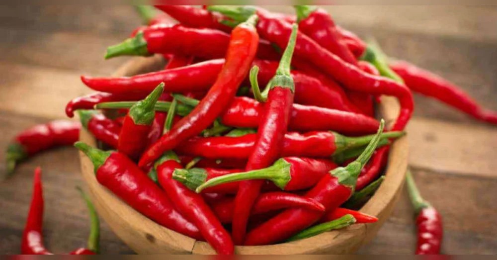 Pimenta 'queima gordura' e pode até melhorar o humor