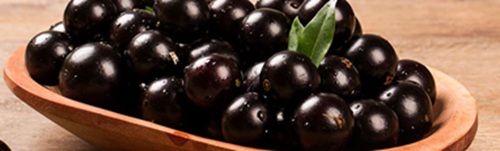 Pequenos Frutos vermelhos