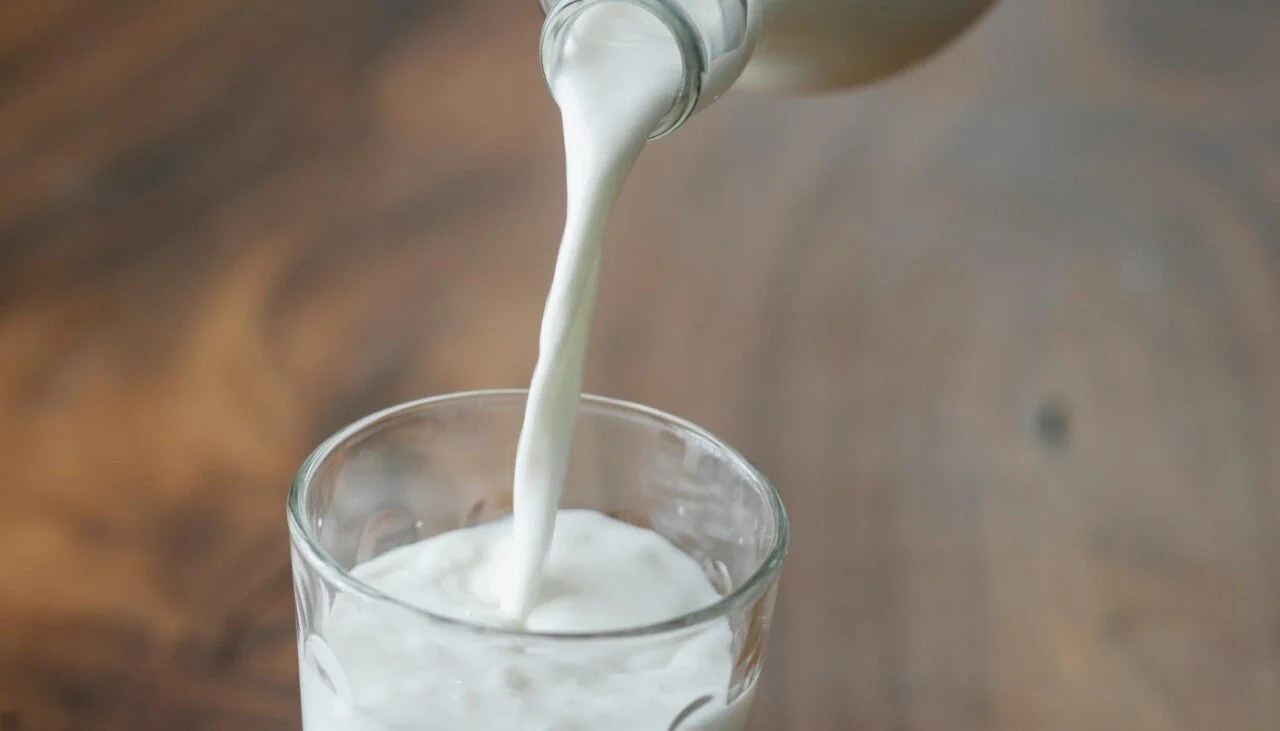Leite A2 pode ajudar a evitar desconfortos gastrointestinais: saiba diferença