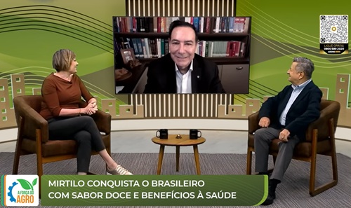 Mirtilo conquista o Brasileiro com Sabor Doce e Benefícios para Saúde