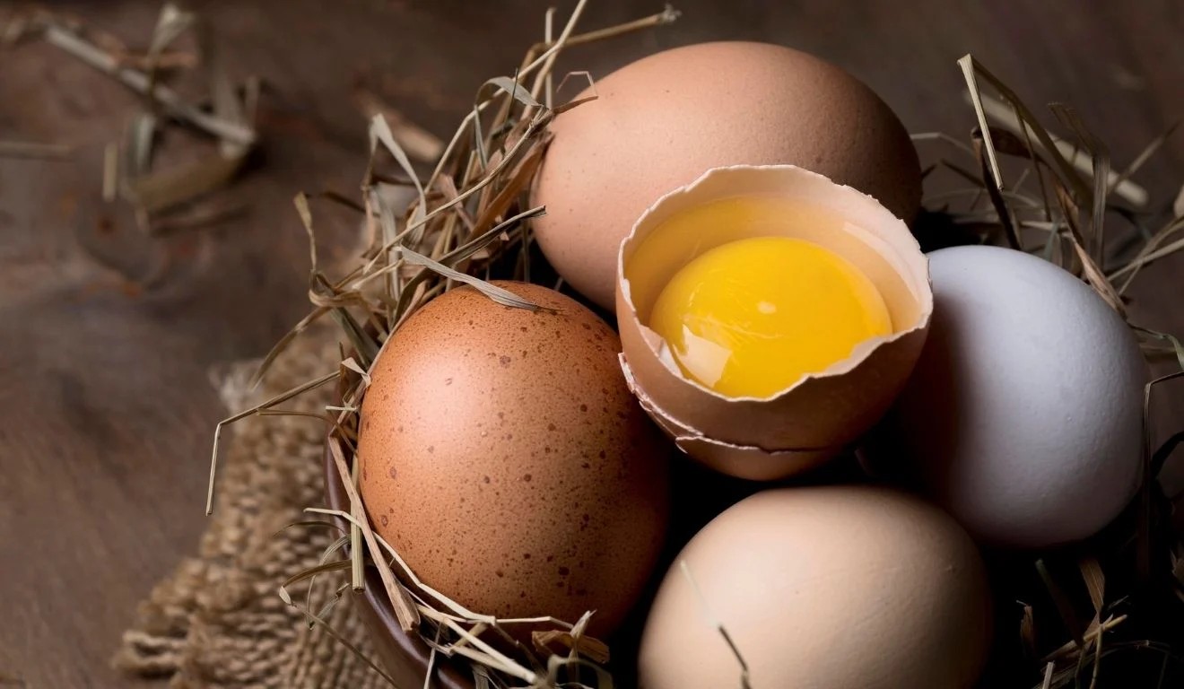 Dieta do ovo: benefícios, limites e riscos apontados