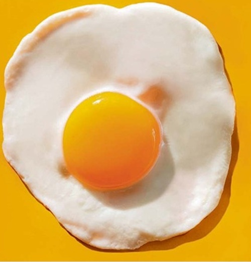 Muito mais que Proteína, o Ovo é um Alimento Completo
