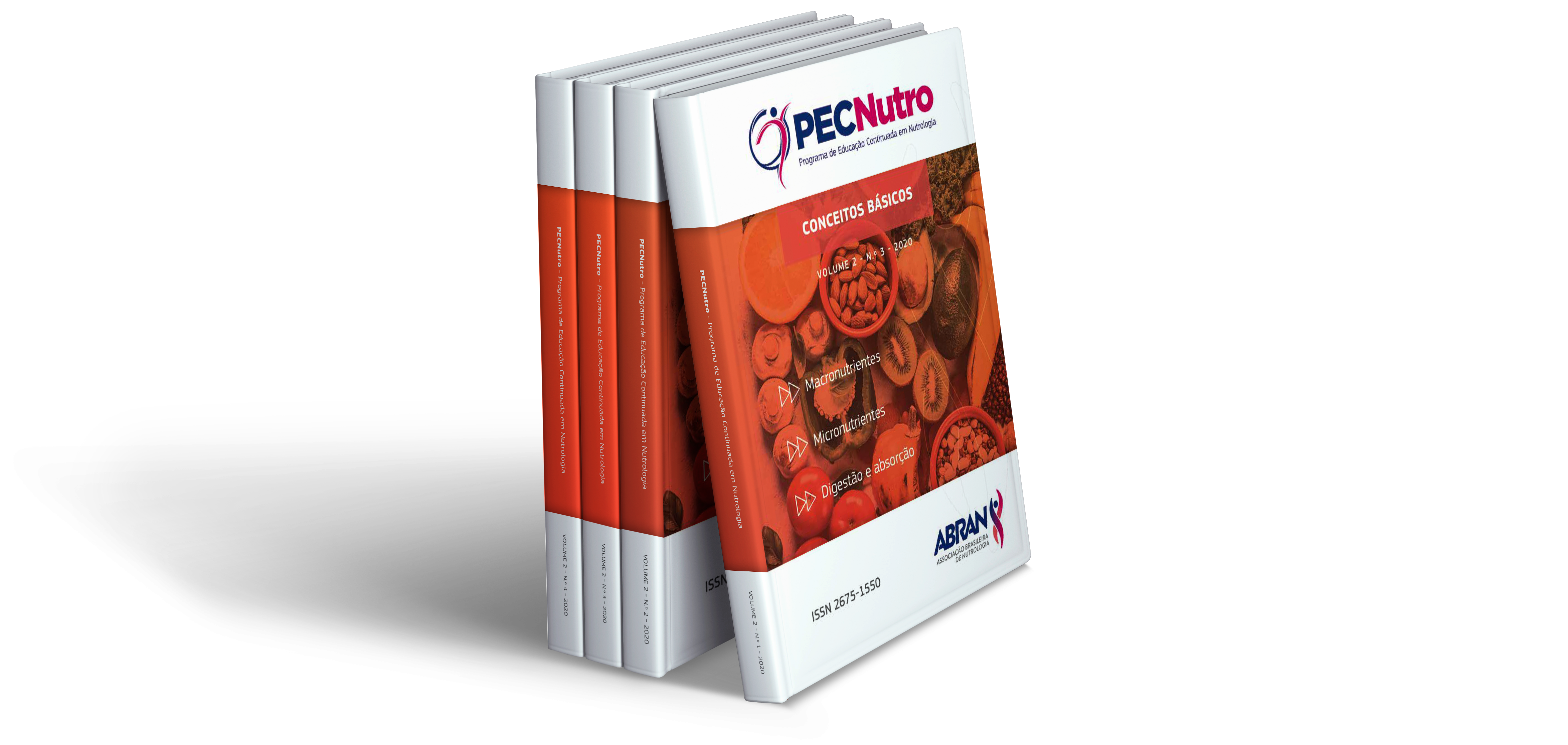 Volume 3 - Conceitos Básicos
