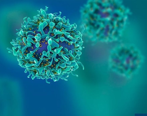 Intervenções Probióticas para Indução de Células T reguladoras em Doenças Autoimunes
