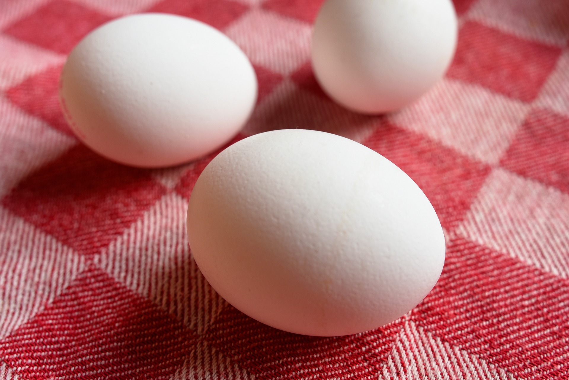Estudo do JAMA sobre o ovo gera polêmica em torno do alimento. Médica nutróloga da ABRAN fala do assunto.